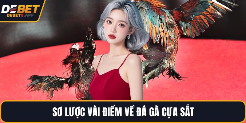 Sơ lược vài điểm về đá gà cựa sắt