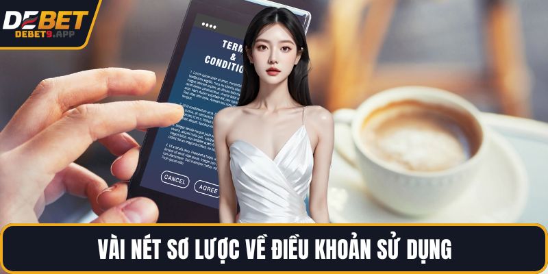 Vài nét sơ lược về điều khoản sử dụng